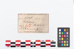 Etikett zu Bronzearmreif (NHMW-PRAE-025596)